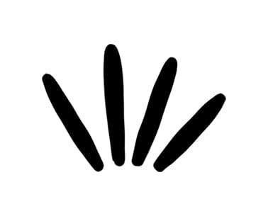 Perfect Gift for Your Loved Ones!
– Sugar Spring Co